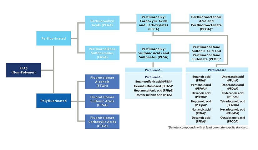 PFAS Family Tree Diagram