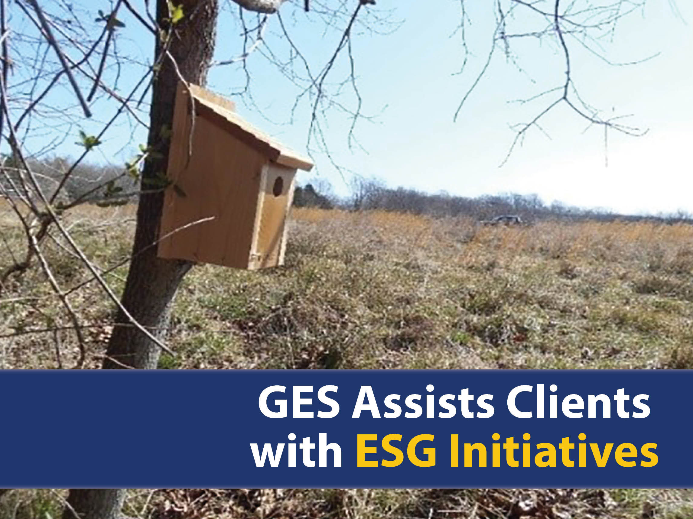 GES Assists Clients with ESG Initiatives