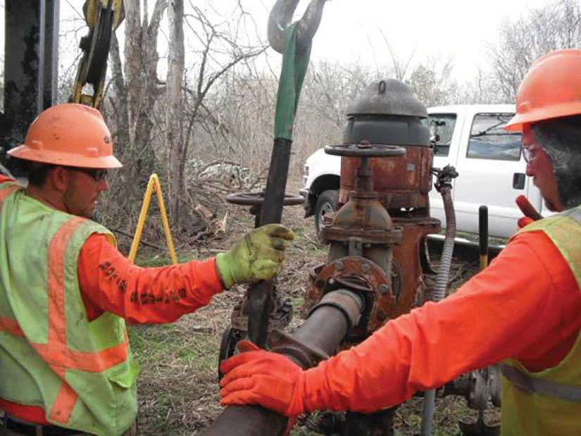 Field workers in orange