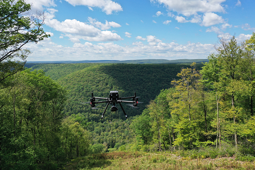 Drone over ROW