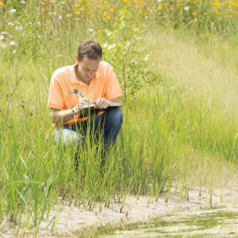 Man sampling water