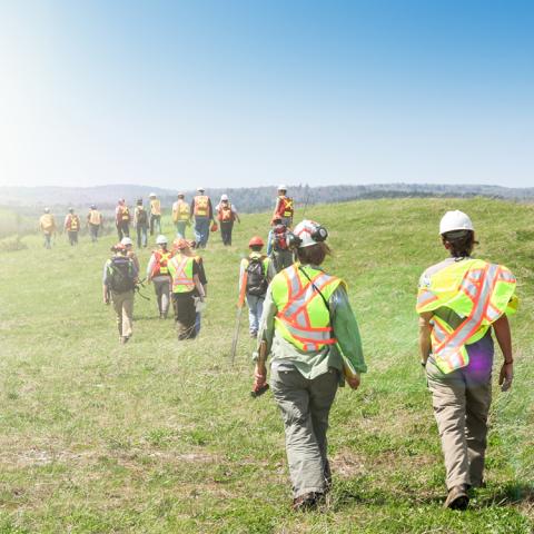 Workers in the field