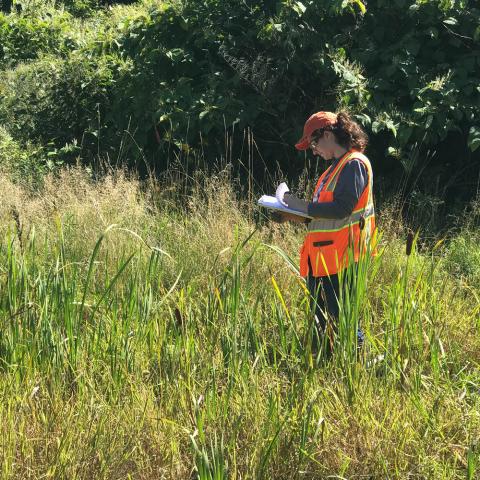 Female employee testing water in field