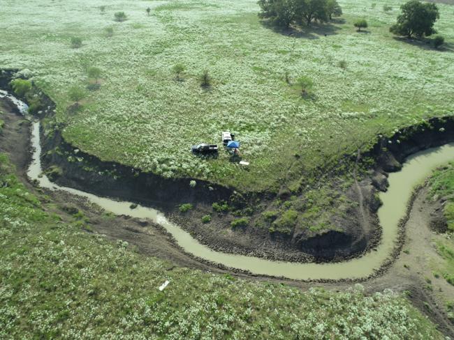 drone view; inspection of mitigation bank
